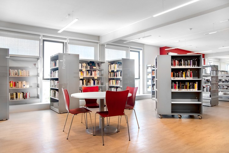 Certifié FSC Rayonnage Lingo (Médiathèque départementale de Thuir, France)