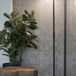 E0101 - Figuier lyre Large