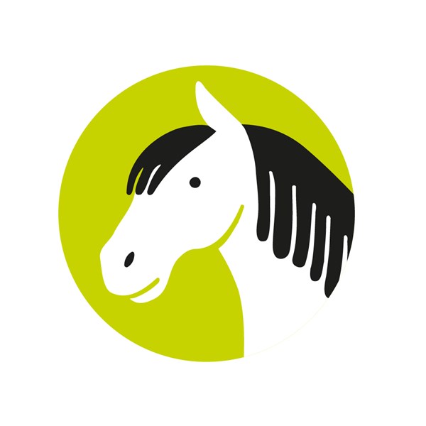 E2282 - Les chevaux